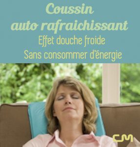 préparer l'été coussin rafraichissant