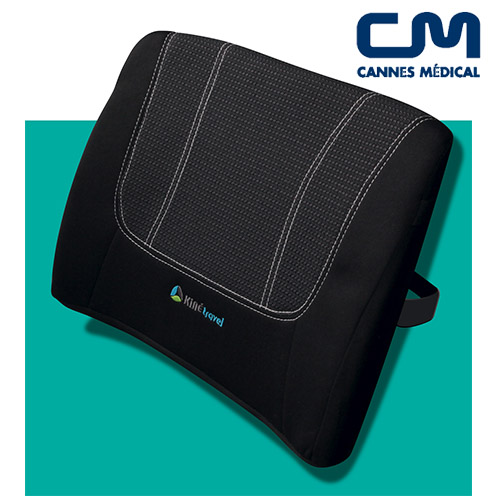 coussin de dos voiture